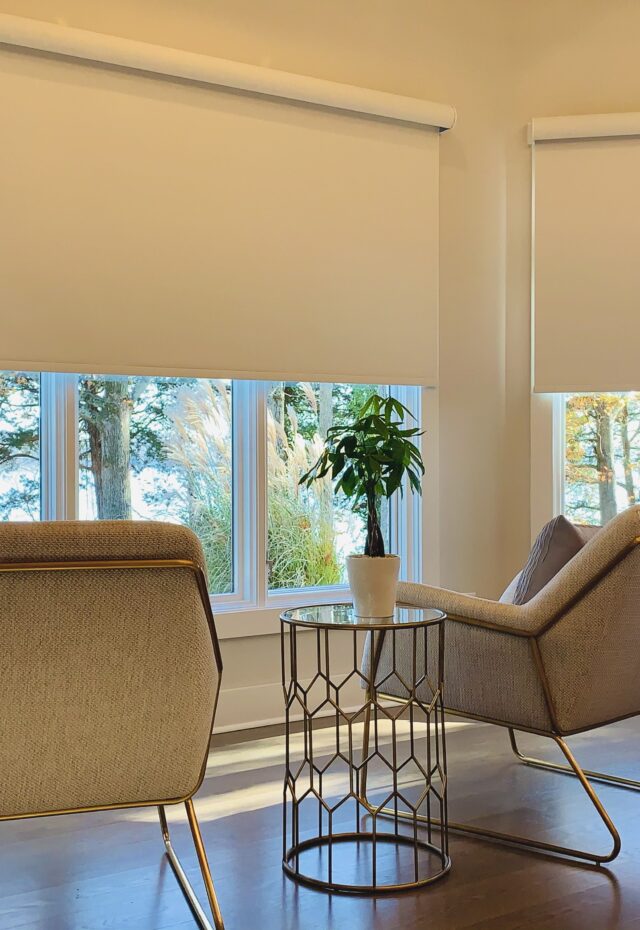 Motorized Roller Shades