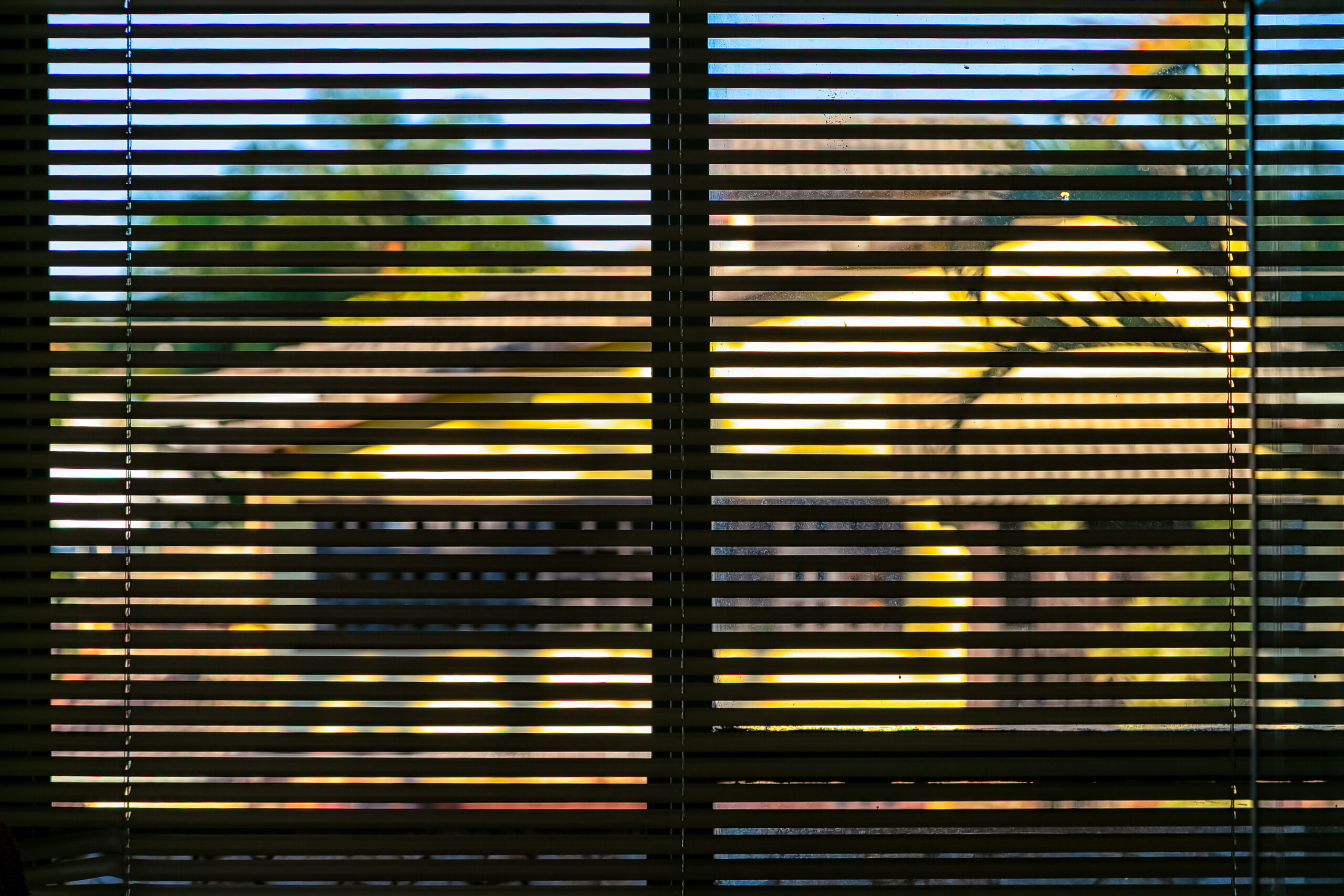 custom blinds in Durham, NC